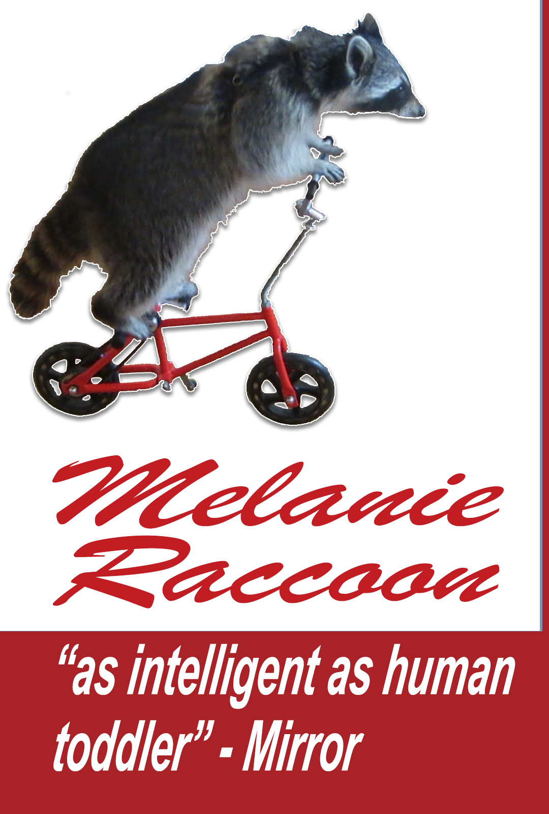 Melanie Raccoon - movie poster
